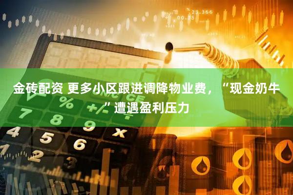 金砖配资 更多小区跟进调降物业费，“现金奶牛”遭遇盈利压力