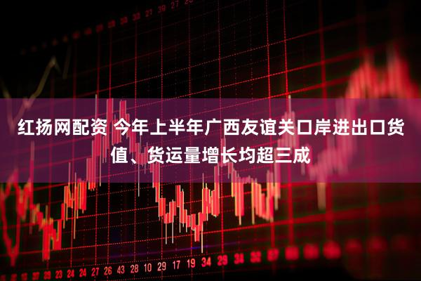 红扬网配资 今年上半年广西友谊关口岸进出口货值、货运量增长均超三成