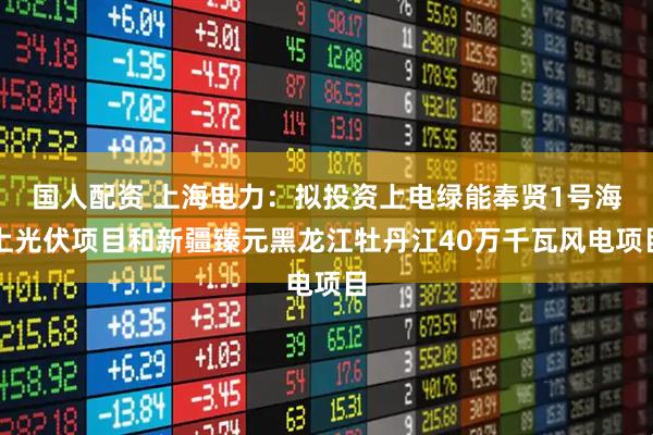 国人配资 上海电力：拟投资上电绿能奉贤1号海上光伏项目和新疆臻元黑龙江牡丹江40万千瓦风电项目