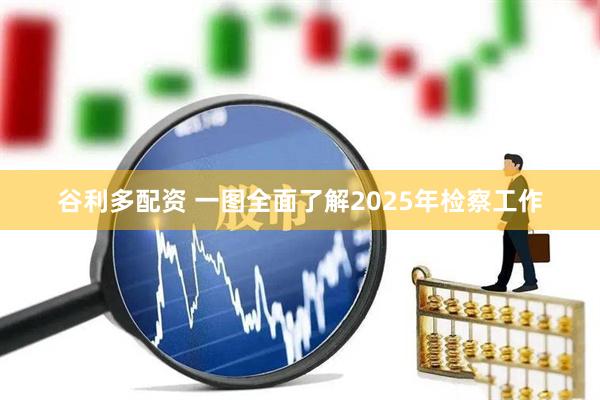 谷利多配资 一图全面了解2025年检察工作